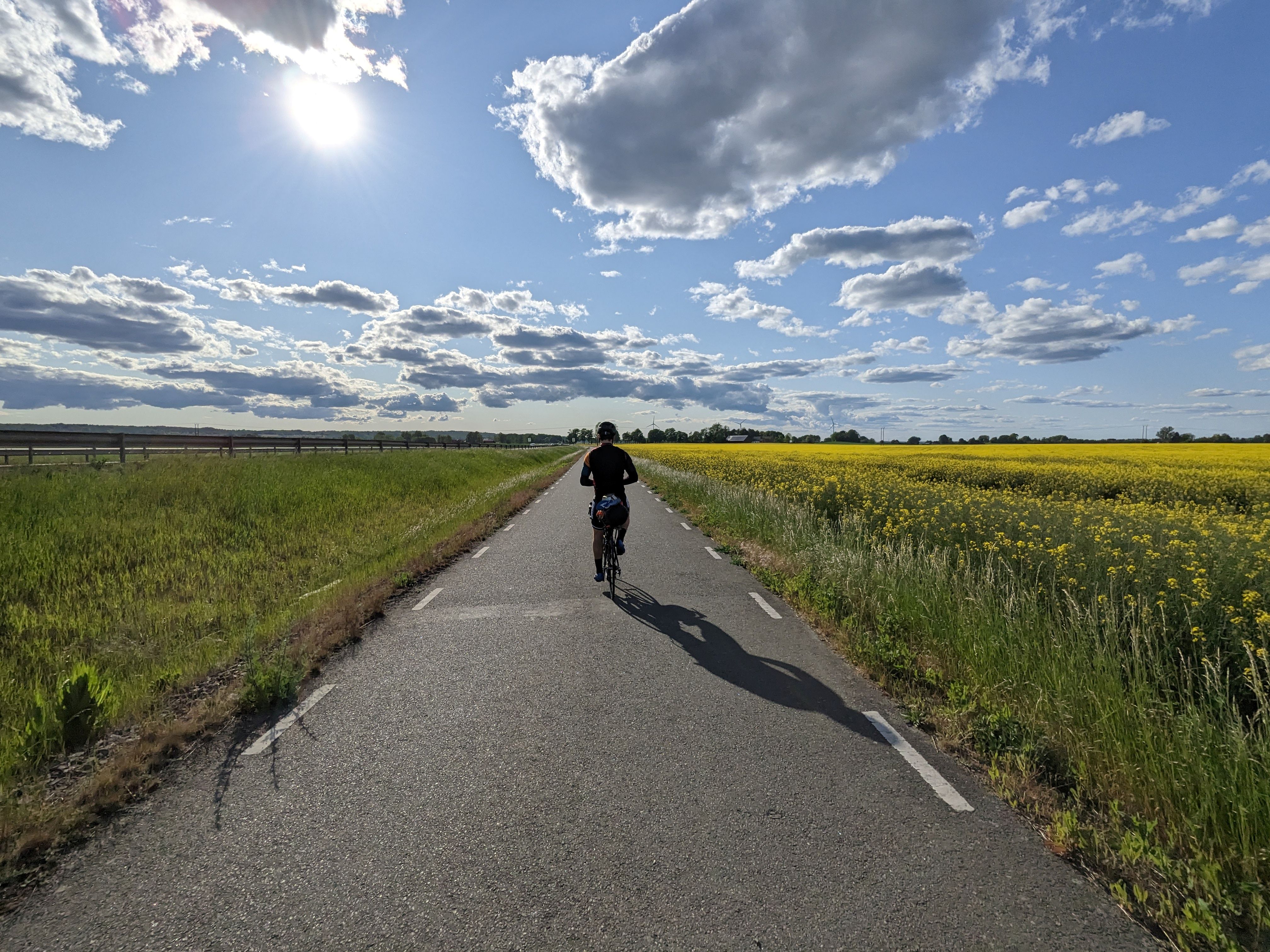 cyklist på landsväg i Skåne en solig sommardag